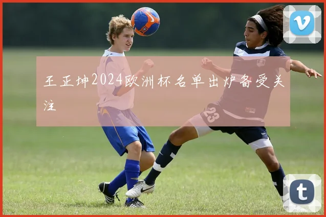 王正坤2024欧洲杯名单出炉备受关注