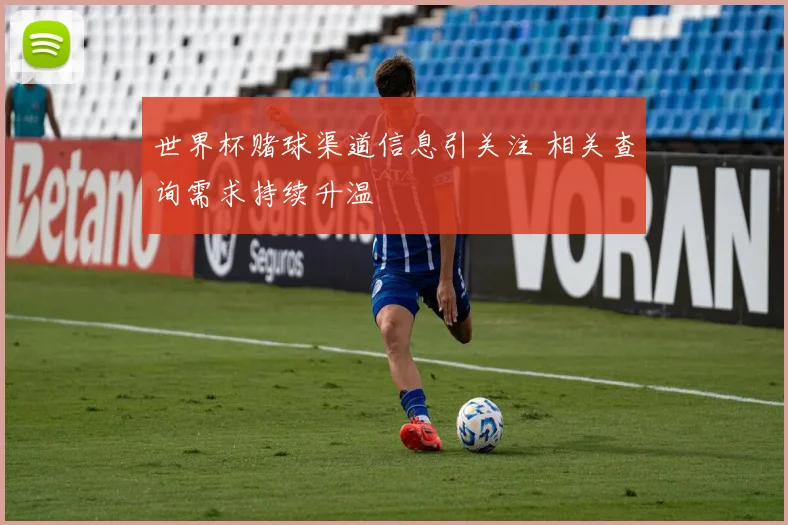 世界杯赌球渠道信息引关注 相关查询需求持续升温