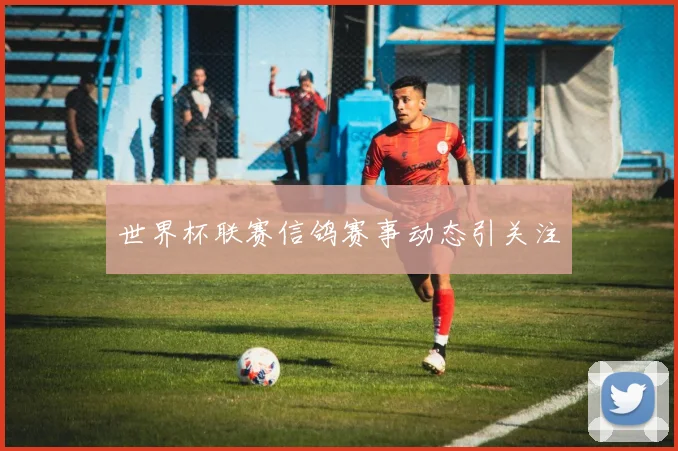 世界杯联赛信鸽赛事动态引关注