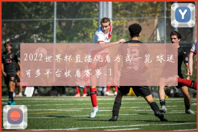 2022世界杯直播观看方式一览 球迷可多平台收看赛事_1