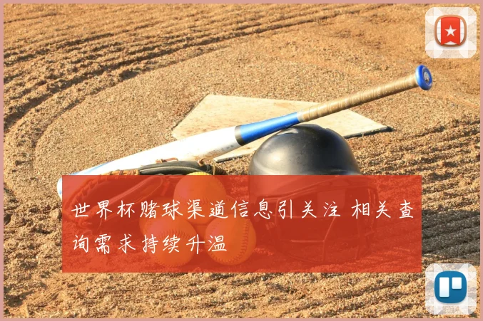 世界杯赌球渠道信息引关注 相关查询需求持续升温