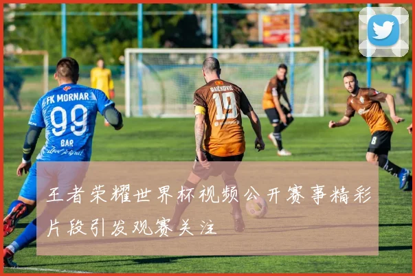 王者荣耀世界杯视频公开赛事精彩片段引发观赛关注