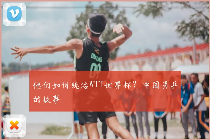 他们如何统治WTT世界杯？中国男乒的故事