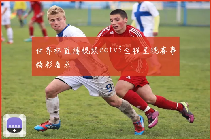 世界杯直播视频cctv5全程呈现赛事精彩看点